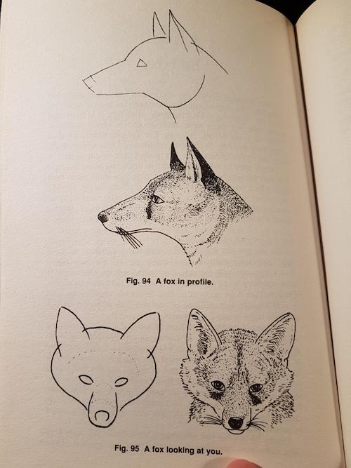 Ilustración para el artículo titulado Los tutoriales vagos pero divertidos de Reddit no le enseñan nada